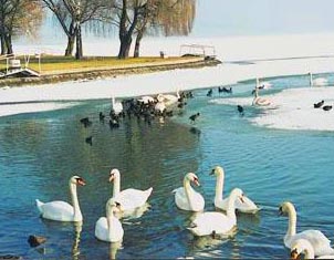 Siófok