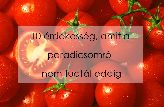 siofok-hotel-paradicsom