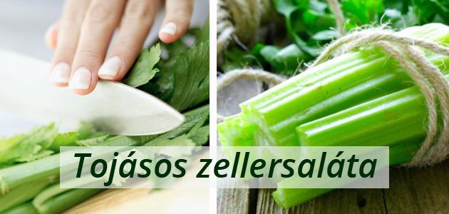 zellersalata Tojásos zellersaláta