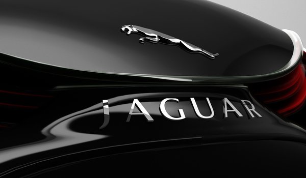 jaguár